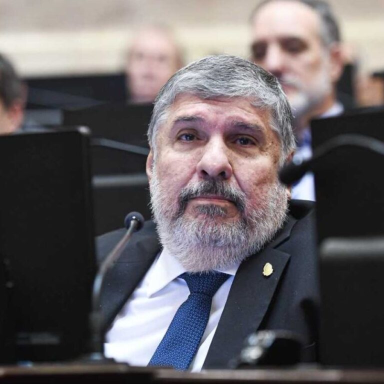 El peronismo busca que Pettovello vaya al Senado para que explique las irregularidades de su ministerio