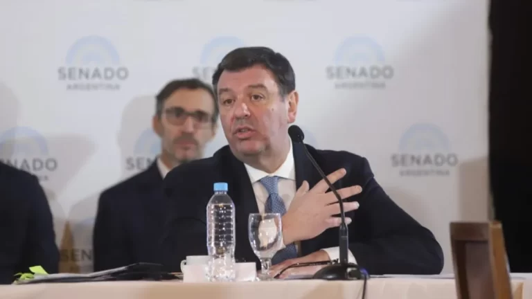 Lijo expuso en el Senado pero aún no se sabe su destino